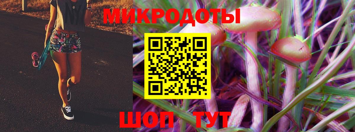 Псилоцибиновые грибы MAGIC MUSHROOMS  Вход с VPN  как найти закладки  Новоалтайск 